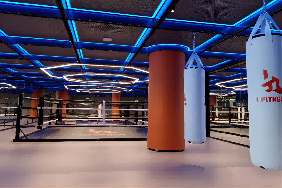 1693471238716167hrte.png 拳击室a(1).png